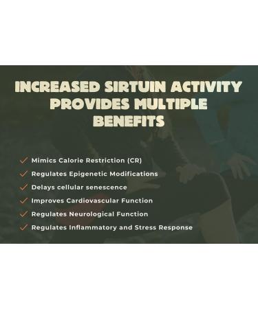 Youth & Earth Preservage (Trans-Resveratrol Curcumin Quercetin and BioPerine) 410mg (60 Capsules) - Buy Online on GoSupps.com