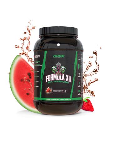 Formula XII Intra Workout Carbs & Post Workout Recovery Powder, Rapidly Absorbed, Boost Exercise Performance, Strength, Endurance & Hydration, 12 Science-Backed Ingredients (Strawberry Watermelon)