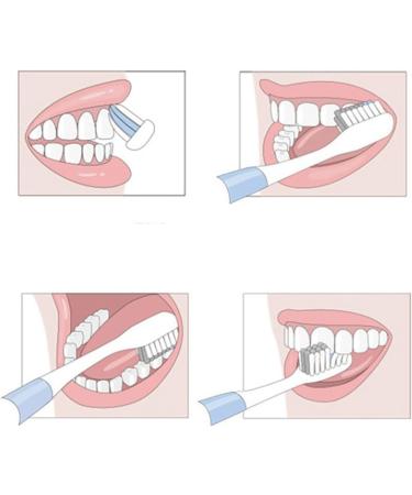 Soft Toothbrush for Sensitive Teeth & Gums - Ultra Fine Bristles - 5 Pack | International Shipping Available - Buy Online on GoSupps.com
