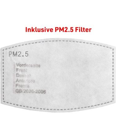 Santa Magix Everyday Fabric Mask - Adjustable Washable Christmas Design for Men & Women | Oral Nose Protection with Filter | AM-213 - Buy Online on GoSupps.com