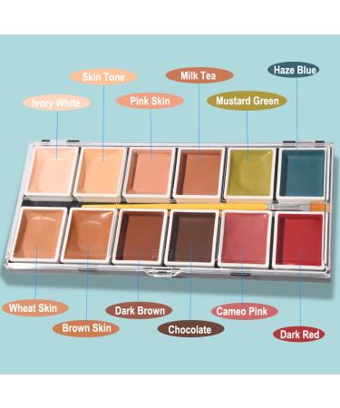 Shop Alcohol Activated Makeup Palette for FX Makeup - 12 Base Colors & Sponge Cleaning Accessories - Buy Online on GoSupps.com