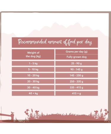 Wild Animal Premium Dry Dog Food Angus Beef with Sweet Potato and Carrot Grain Free Pack of 1 (1 x 2 kg) - Buy Online on GoSupps.com