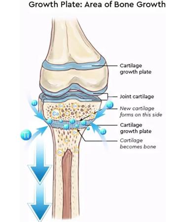 Douhua HigherSocks 2023 Far Infrared Schorl Titanium Ion Heightening Booster Socks - Black Medium - Buy Online on GoSupps.com