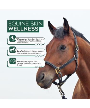 Nature's Aid Soothing Equine - Horse Coat Gel. Fast-Absorbing Natural Formula Antibacterial Antifungal Skin-Soothing and 3X More Skin-Nourishing Compounds (500ml). - Buy Online on GoSupps.com