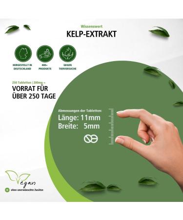 Buy Fairvital Kelp Tablets - 300mcg Natural Iodine from Brown Algae - High Dose 250 Vegan Tablets - International Shipping Available - Buy Online on GoSupps.com