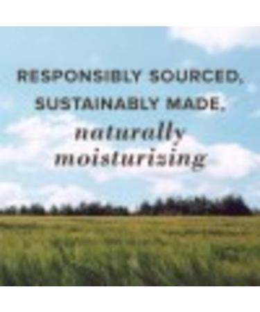 Burt's Bees 100% Natural Moisturizing Lip Balm Strawberry with Beeswax & Fruit Extracts - 4 Tubes - Buy Online on GoSupps.com