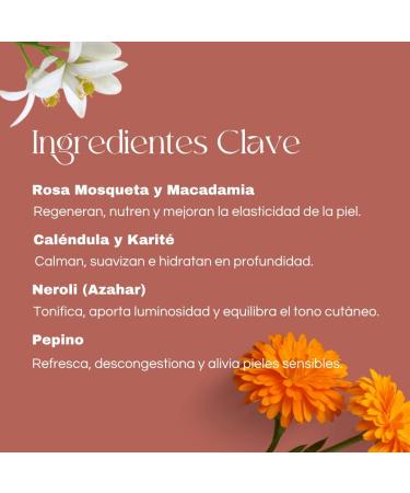  QKnatur Lumi Intensive - Nourishing and Regenerating Face Cream - With rosehip hydrosol shea butter calendula and cucumber - For dry and sensitive skin - 50 ml - Buy Online on GoSupps.com