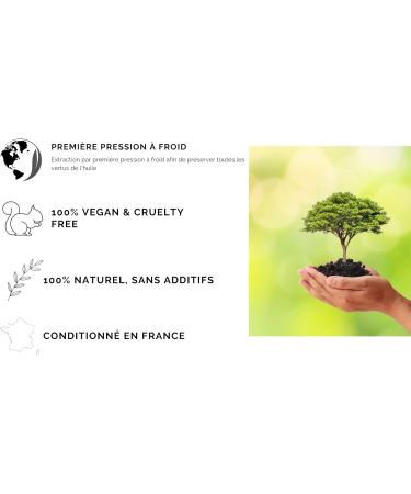 Immunity - Increases your immune defenses - Formulated by a Pharmacist - Nigella capsules titrated to 20% Thymoquinone Echinacea Purpurea Zinc and Vitamin D3 - 2 Month course - Vegan - Buy Online on GoSupps.com