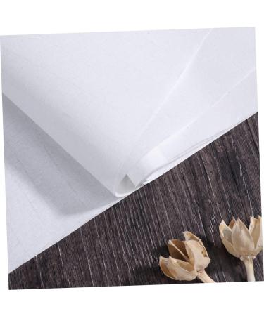 Lurrose Calligraphy Paper 100 Sheets Rice Paper for Crafts Sumi Painting Paper Exercise Paper Ink Paper Student Advanced - Buy Online on GoSupps.com
