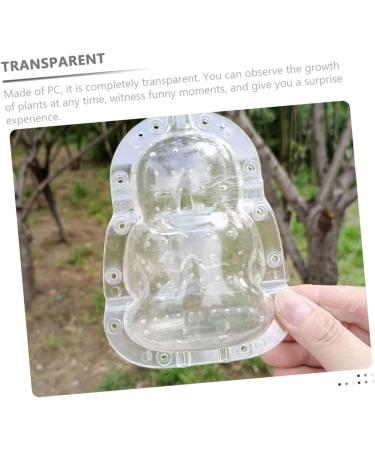 Abaodam 4 Pcs Vegetable Shaping Mold Computer Accessories Growing Mold for Garden Transparent Shaping Mold - Buy Online on GoSupps.com
