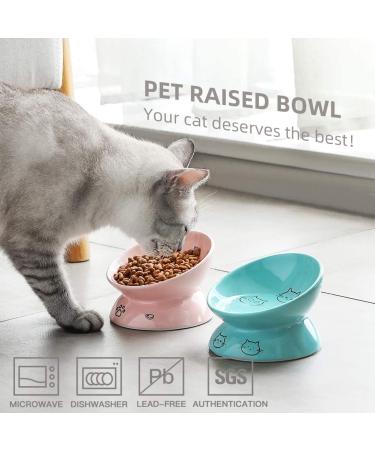 SWEEJAR Raised Ceramic Cat Bowl - 5 Inch Turquoise | Elevated Pet Dish for Dry Wet Food, Stress-Free Eating, Protects Cat's Spine | Dishwasher Safe - Buy Online on GoSupps.com