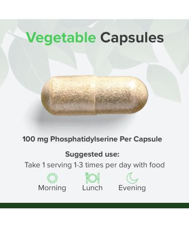 Raw Powders RP Phosphatidyl Serine 100mg per serving 120 Vegetarian Capsules Phosphatidylserine Capsules for Cognitive Health Manufactured in ISO Licensed Facilities NonGMO & Gluten Free - Buy Online on GoSupps.com