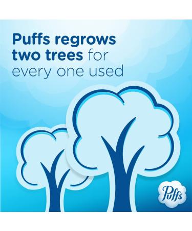 Puffs Plus Lotion Facial Tissue - 48 Tissues, 1 Cube Box | Soothing Moisturizing Relief - Buy Online on GoSupps.com