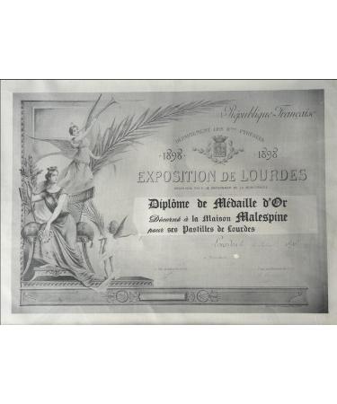 MALESPINE - Lourdes water lozenges lemon flavour in souvenir bag 300 g - Buy Online on GoSupps.com