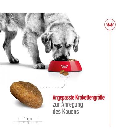 Royal Canin Maxi Adult | 12 x 410 g | Complete Food for Large Adult Dogs (26-44 kg) | Wet Food Rich in nutrients and balanced with highly digestible proteins - Buy Online on GoSupps.com