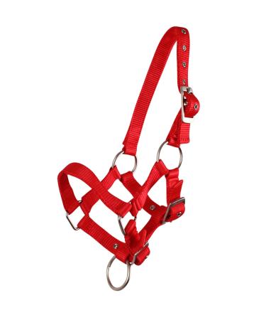 QHP foal halter foal nylon halter 4 foal sizes 6 colours (Shetland foal red) Shetland foal red