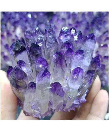 1pc Natural Crystal Cluster Amethyst White Specimen Ore Purple Quartz Reiki Stone Raw Crystals Home Decor Great Choice for Home Decoration kaixun (Size : 350-400g) - Buy Online on GoSupps.com