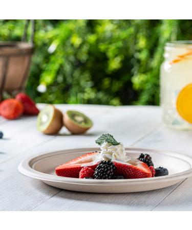 100% Compostable 9 Inch Heavy-Duty Paper Plates 125 Pack - Eco-Friendly Disposable Sugarcane Plates - Brown Unbleached 9'' Round - Kraft 125 Count - Buy Online on GoSupps.com