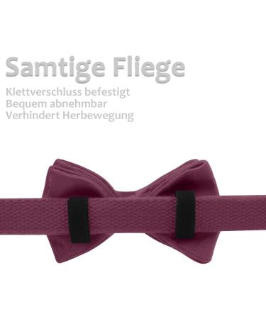 Shop Asvin Velvety Dog Collar with Removable Fly | Soft & Comfortable Multicolored Collar for Weddings & Parties - International Shipping - Buy Online on GoSupps.com