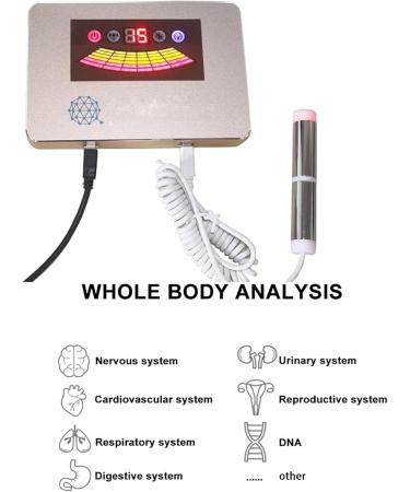 Quantum Analyzer | Quanta Magnetic Health Analyzer with 3D Ganzboden Scan | Multilingual Windows Support for Health Analysis - Buy Online on GoSupps.com