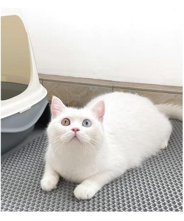 Large Cat Litter Mat 60 x 45 cm Double Layer Waterproof Litter Trapping Mat Honeycomb Large Holes Design for Scatter Control Non-Toxic Nonslip Grey - Buy Online on GoSupps.com