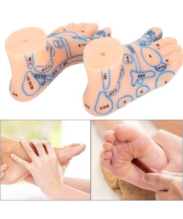 Foot Acupuncture Model - 13 cm Waterproof Teaching Tool for Acupuncturists & Students | Ideal Educational Resource - Buy Online on GoSupps.com