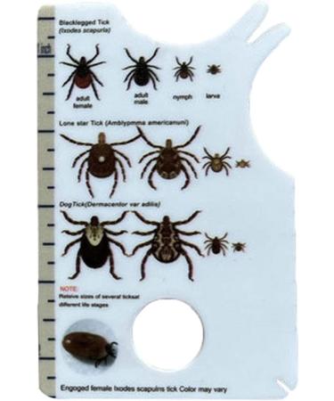Professional Small Card With Magnifier Remover Card With Glass Lightweight Remover For Pets Hiking Remover Prevention Tool Identification Card Pets Lice - Buy Online on GoSupps.com