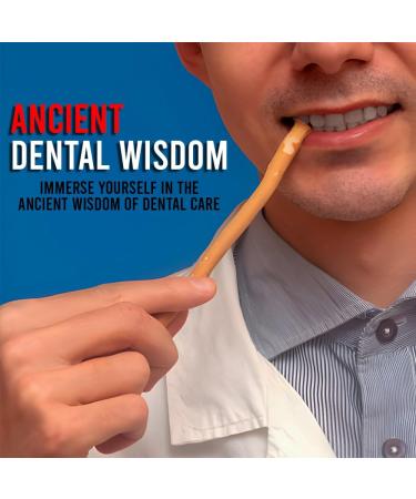 BML 3 x Miswak Natural Dental Chew Thick Herbal Stick Vacuum Packed Sewak Datun for Ancient Remedy Promotes Healthy Teeth & Gums and Ensures Fresh Breath - Buy Online on GoSupps.com