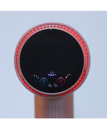 Portable Hair Dryer with Negative Ions Rechargeable Hair Dryer with Temperature Control for Home Travel Hot Cold Wind Overheat Protect (US Plug 100-240V) - Buy Online on GoSupps.com