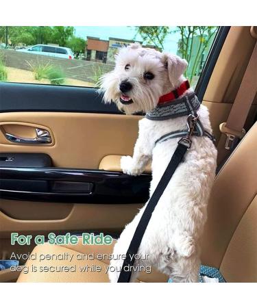 Adjustable Dog Seat Belt - Car Safety Belt for Small Dogs & Cats - Durable Buckling Strap for Secure Travel - Buy Online on GoSupps.com