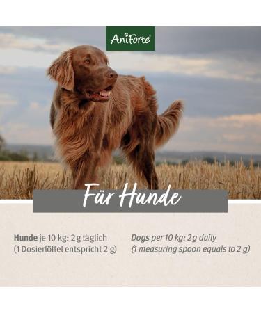 Aniforte Gastrointestinal Powder for Dogs 500g | Natural Digestive Support & Stomach Protection with Bentonite & Herbs - Buy Online on GoSupps.com