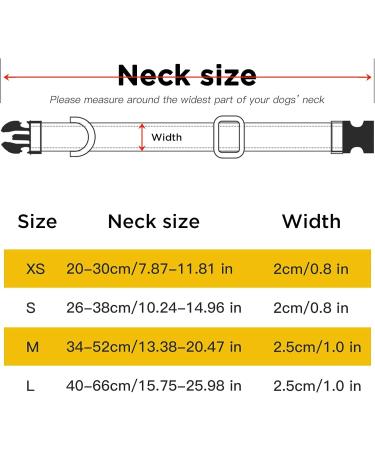 Heele Reflective Nylon Dog Collar - Soft Neoprene Padded for Small to Large Dogs - XS (20-30 cm) - Green - International Shipping Available - Buy Online on GoSupps.com