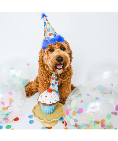 H&K Large Blue Pet Party Hat - Adjustable Strap for Comfort & Stability | Ideal for Birthday Party, Adoption & Gotcha Day Photos - Buy Online on GoSupps.com