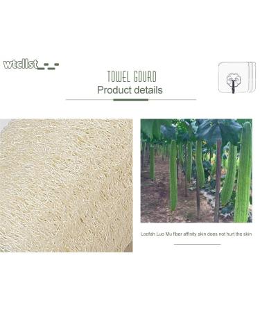 Natural Luffa Sponge Set - Exfoliating Shower 4-Pack with Free Stickers & Waterproof Wall Hooks | International Shipping - Buy Online on GoSupps.com