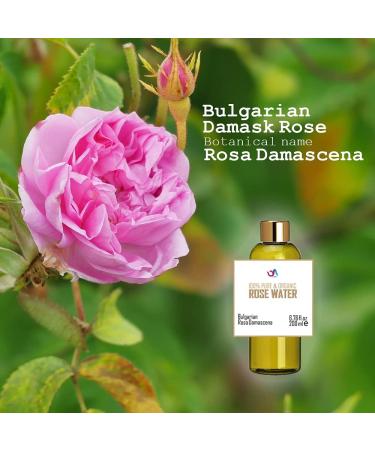 100% Pure Bulgarian Rose Water 6.76 oz | Organic Rosa Damascena Toner & Moisturizer Alcohol & Additives Free Skin & Hair Care - Buy Online on GoSupps.com