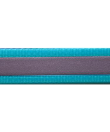 Buy BioThane by the Meter | Gold Standard 13-38 mm Wide 2.5 mm Thick Multiple Colors - Turquoise Reflex (19 mm TU313) - Buy Online on GoSupps.com
