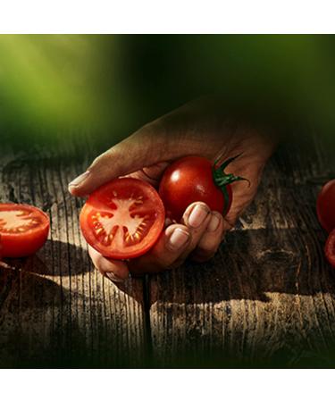 Biozentral Tomato Spread | 6 x 125g | Vegan Lactose-Free Fruity & Aromatic | Perfect for Bread Dishes Sauces & Dips | International Shipping Available - Buy Online on GoSupps.com