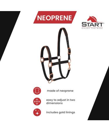 Buy Premium Neoprene Halter for Horses | Adjustable Stable Halter for Thoroughbred & Warmblood | Black/Rose Gold Cob Size - Buy Online on GoSupps.com