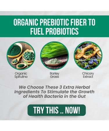 Prebiotics and Probiotics in One Supplement | 30 billion CFU from 9 species with 3 Extra Herbs: Organic Spirulina Barley grass Chicory Extract (30 Veggie Capsules) - Buy Online on GoSupps.com