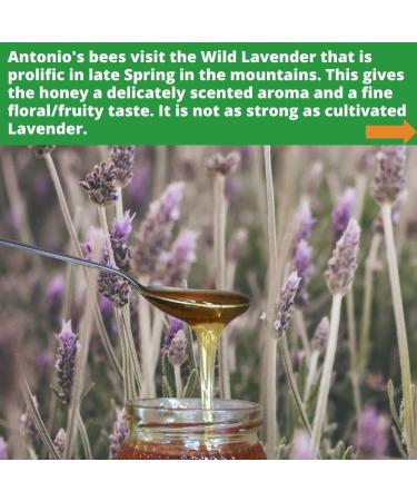 Antonio's Raw Certified Organic Wild Lavender Honey 500g - Pure Wilderness Honey, Unpasteurised, Single Origin | The Raw Honey Shop - Buy Online on GoSupps.com