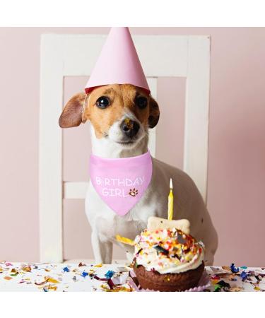 Dog Birthday Bandana Birthday Girl Dog Birthday Supplies for Small Medium Dog Pet - Buy Online on GoSupps.com