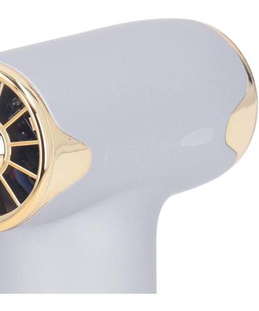 Alomejor Mini Fan - Portable Bladeless Hair Dryer for Pets | 4 Wind Levels 1100mAh Battery - Ideal for Cats & Dogs (Silver - Buy Online on GoSupps.com