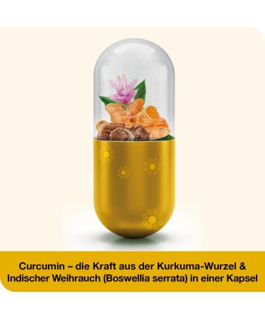 Curcumin - Loges Plus Boswellia Capsules | Highly Bioavailable Dietary Supplement with Vitamin D - 60 Pieces - International Shipping Available - Buy Online on GoSupps.com