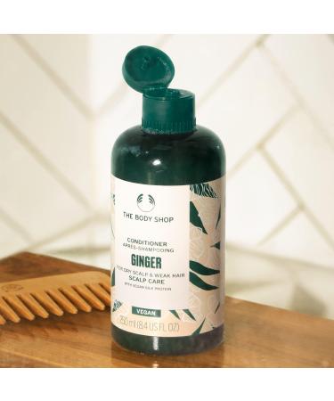 The Body Shop Ginger Scalp Care Conditioner 250ml | Vegan Solution for Dry Scalp & Weak Hair - Buy Online on GoSupps.com