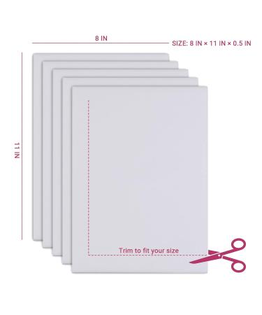 Buy 5 Pack Lipo Foam Ab Board - Essential for Post Surgery Liposuction Tummy Tucks & BBL - International Shipping Available - Buy Online on GoSupps.com