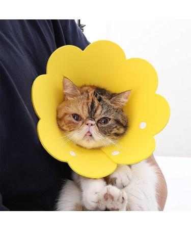 Tecatty Pets Calant Crauses Adjustable Anti-Delicious Collar for Cats | Lightweight Elizabethan Neck Collar (M Yellow) | International Shipping Available - Buy Online on GoSupps.com