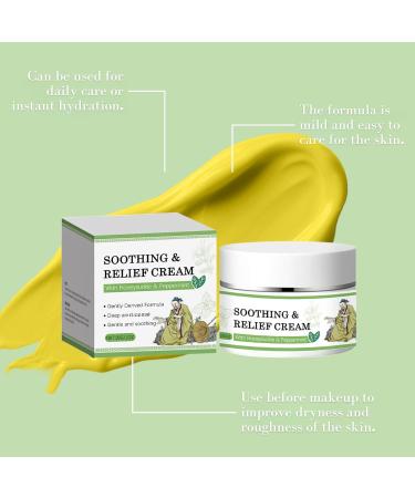 2Pcs Soothing Relief Cream Herbal Moisturizer for Sensitive Skin Herbal Soothing Cream Hydrating & Refreshing Suitable for Daily Skin Care - Buy Online on GoSupps.com