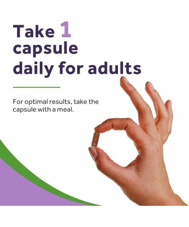 Doctor's Recipes Grape Seed Extract 35000 mg Equivalent High Strength 70:1 Standardized Extract with 95% Proanthocyanidins Non-GMO Antioxidant Support Heart Immune & Skin Health 60 Veg Caps - Buy Online on GoSupps.com