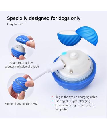 2PCs Interactive Dog Ball Toys - Self-Strolling Hard-Wearing Automatic Rolling Balls for Dogs - Wicked Ball - Perfect for Playtime & Fun! - Buy Online on GoSupps.com