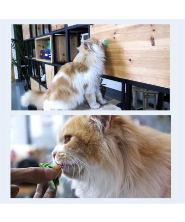 Cat Snacks Catnip Sugar Energy Lick Balls Nutrition Snacks Cat Treats Natural Licking Sugar Snacks Balls 1 Piece - Buy Online on GoSupps.com